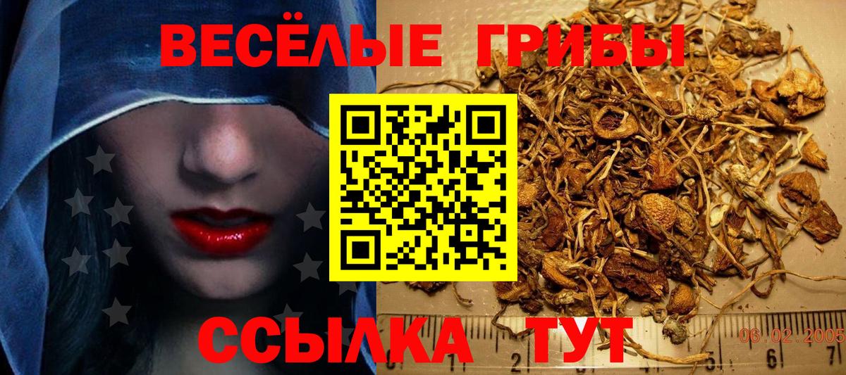 Псилоцибиновые грибы Cubensis Ефремов